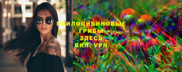 Альфа ПВП Михайлов